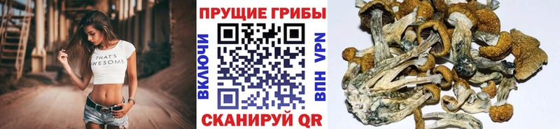 Псилоцибиновые грибы прущие грибы  Купить закладки  Янаул 